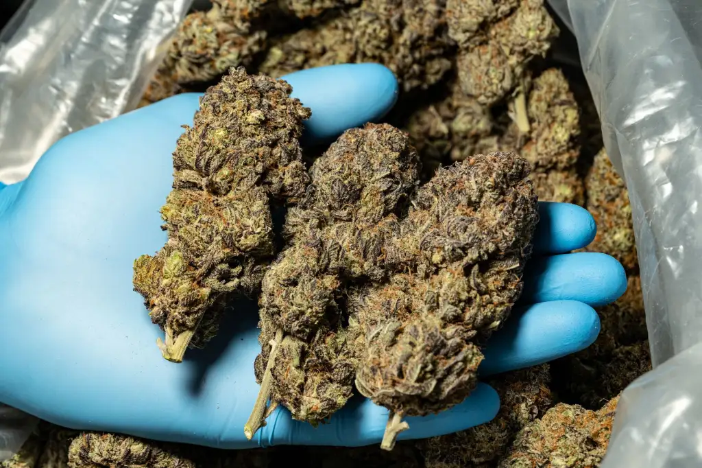 深圳南摩手机配件选购指南：高性价比充电配件推荐